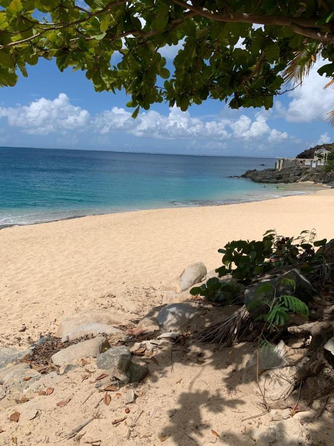 St Martin Nettle Bay Lovely Appartment Sandy Ground Екстериор снимка